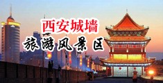 大鸡巴插入中国陕西-西安城墙旅游风景区